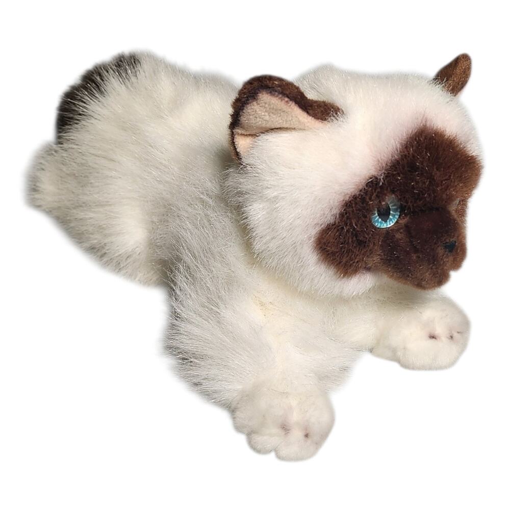2016 Aurora Long Hair Kitten/Cat Siamese Big Blue Eyes Plush/Stuffed Animals